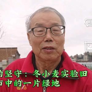 80岁生活达人的日常分享头像