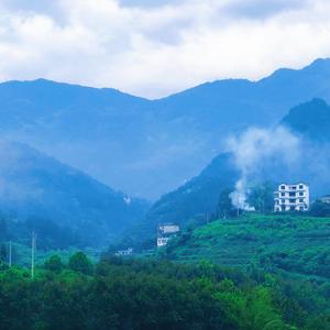 小刘哥头像