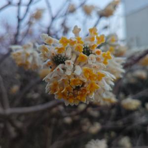 日渐富有头像