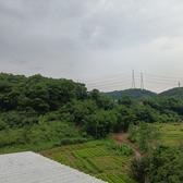 Ray東头像