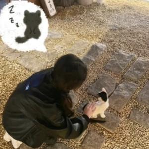 陌小卿头像