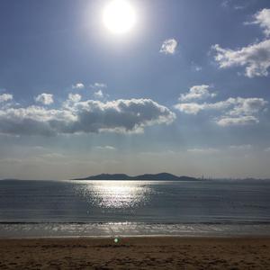 大海小果看世界头像