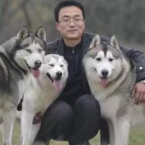 宝来屋三狼头像