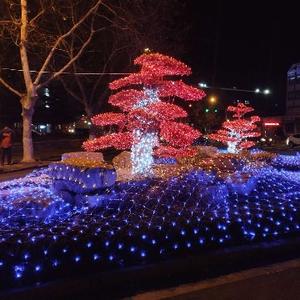 杨慧213头像