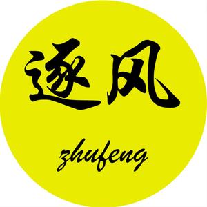逐风dy头像