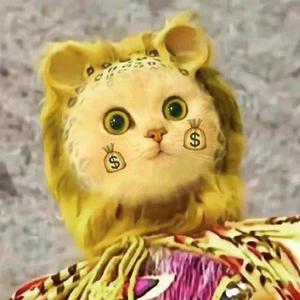 灵咋要天天向上 头像