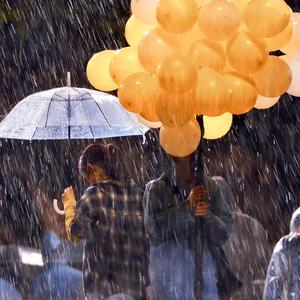 雨中欢舞的伞花头像