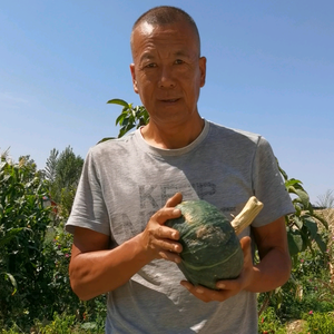 江峰的小院头像