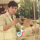 刀仔文一些事一些情头像