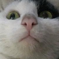 实在没名字取啊头像