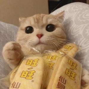 jiajia酱头像