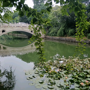 沿途的风景头像