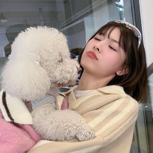 游戏推荐官qq酱 头像