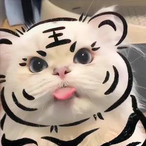 发呆业务的爱好者头像