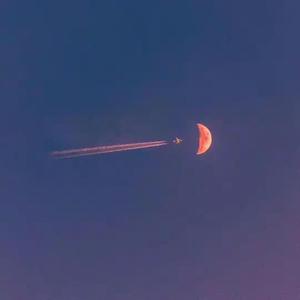 东风头像