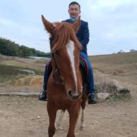 可爱阿尔瓦9M1头像