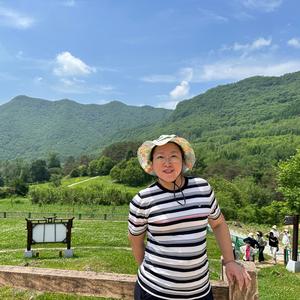 哈姐旅行日记头像