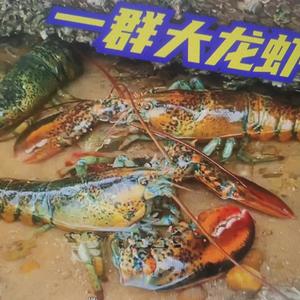 一起去赶海头像