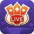 游戏君T圣冠poker联盟头像