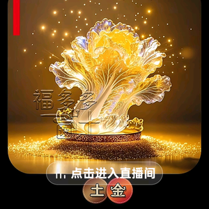 张齐姐头像