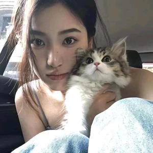 饭团说事头像