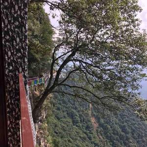汽车电器维修头像