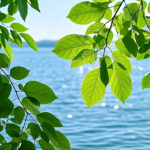 阿满头像