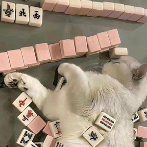 @清心头像