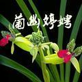 芳芳生活日常头像
