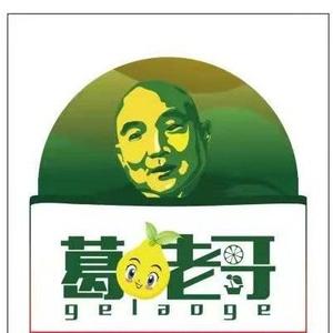 葛老哥头像
