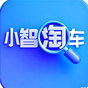 小智淘车头像