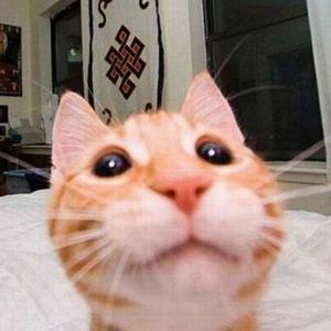 王德发和其他2463人头像