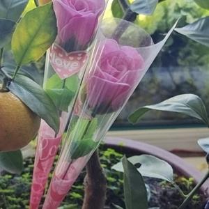 秦皇岛美食街区阿伟头像