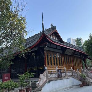 茶山里采茶的游者头像