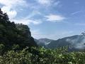 廬山記憶头像