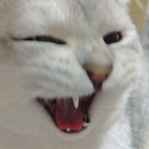九九月头像