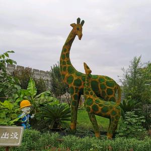 小小青的青头像