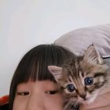 优美小玻璃球头像