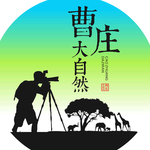 曹庄·大自然头像