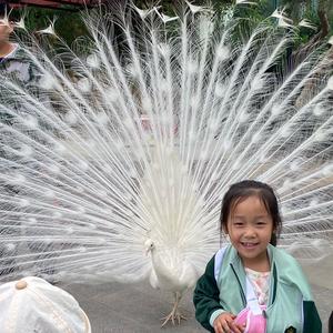 育林啊育林头像