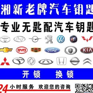 湘新汽车钥匙锁王头像