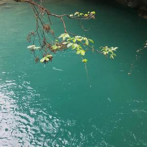小迪旅行头像