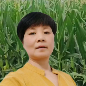 银渐层头像