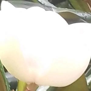 陈紫熙