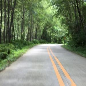 玲小号2头像