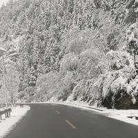 飞天耐克包头像