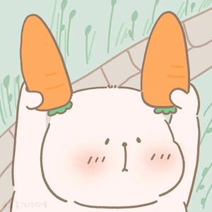 时光之咏头像