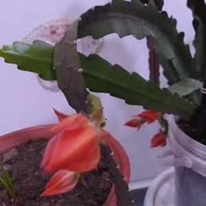 金牛0903头像
