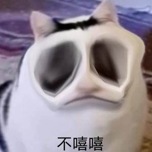 我是猫头像