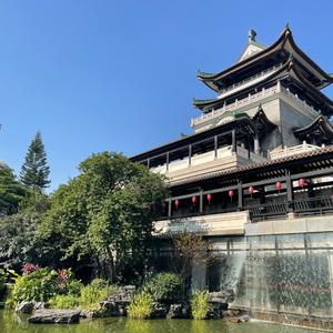 大马剧头像